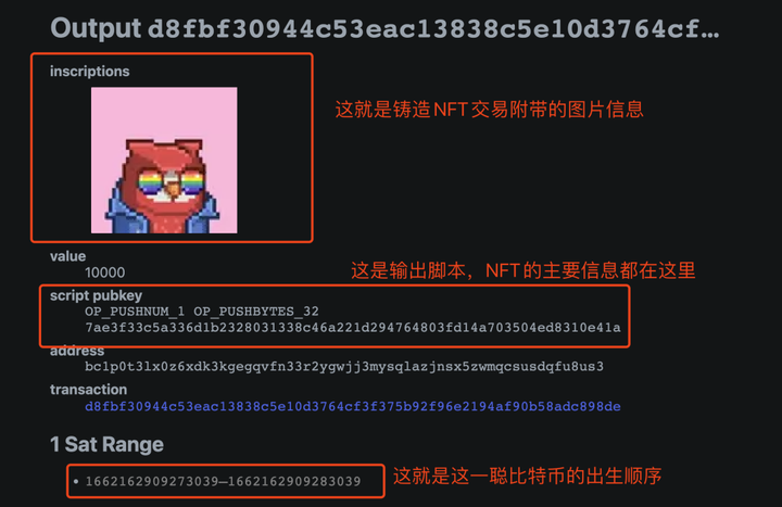 比特币NFT究竟是什么,又为何饱受争议?-iNFTnews